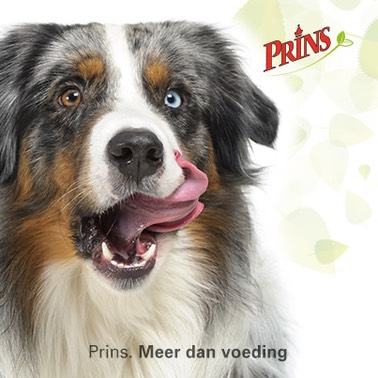 Facebook banner hond